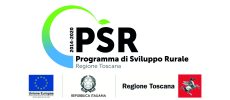 PSR_Logo Alta Risoluzione